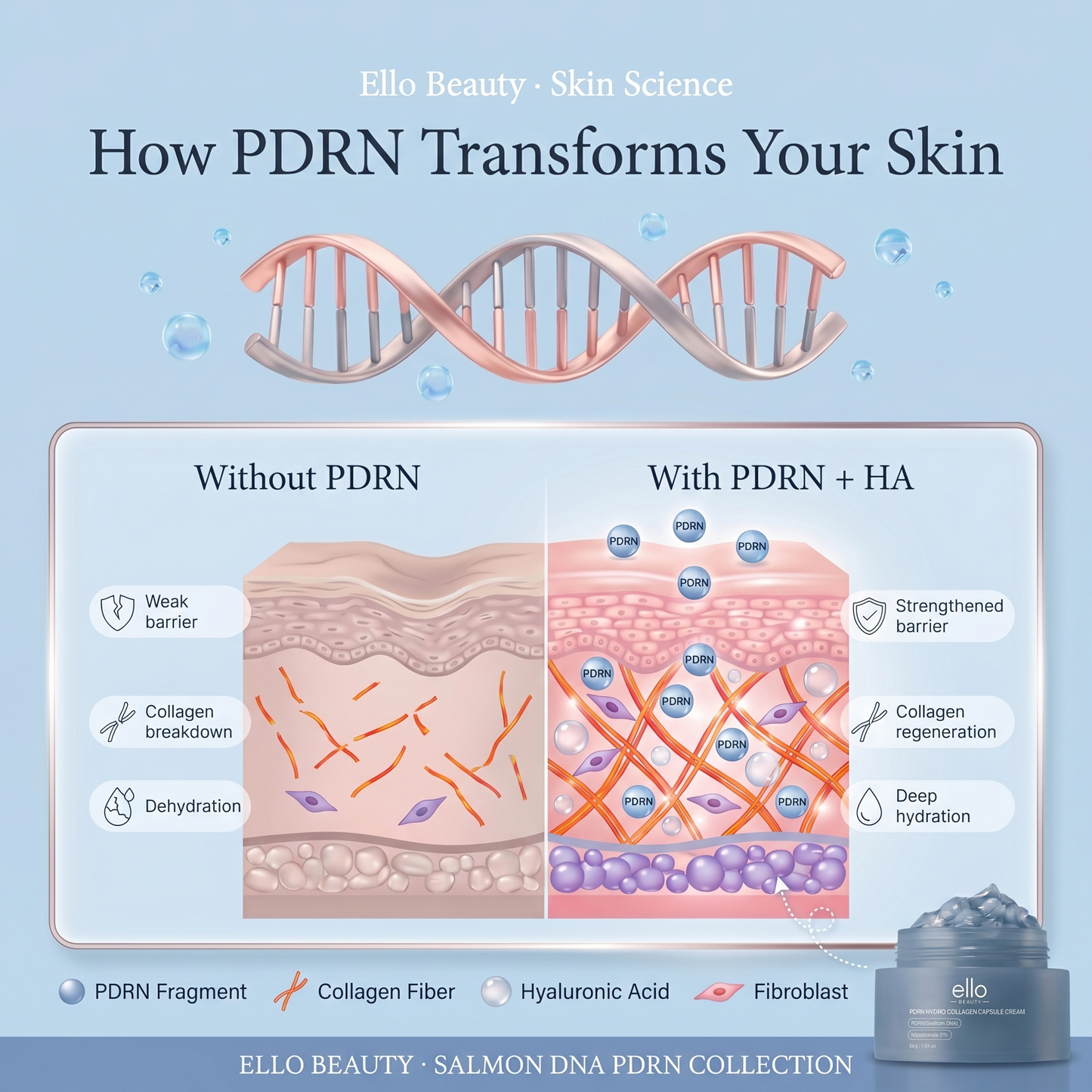 BTOX Wrinkle Repair + Glow Bundle